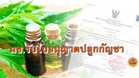 กัญชา
