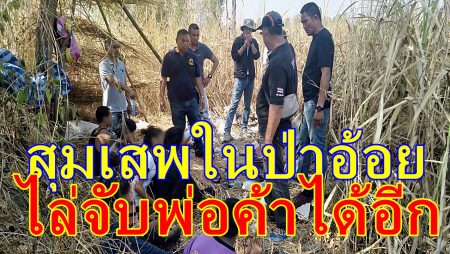 สุมเสพในป่าอ้อย
