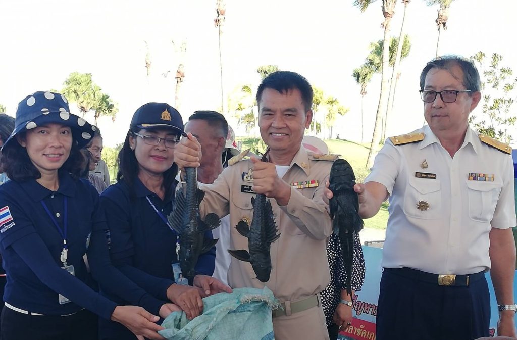 ปลาซัคเกอร์