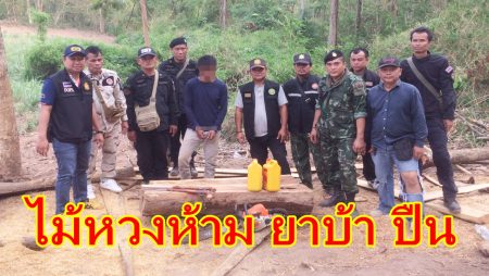 บุกจับไม้หวงห้าม