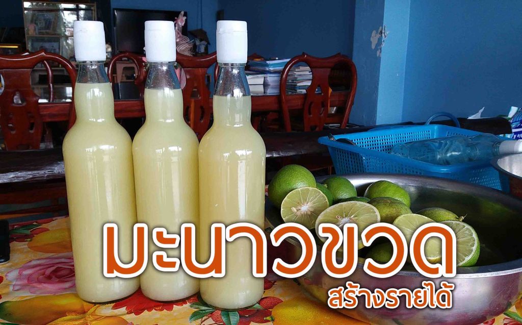 น้ำมะนาว-มะนาวขวด-อาชีพ-รายได้