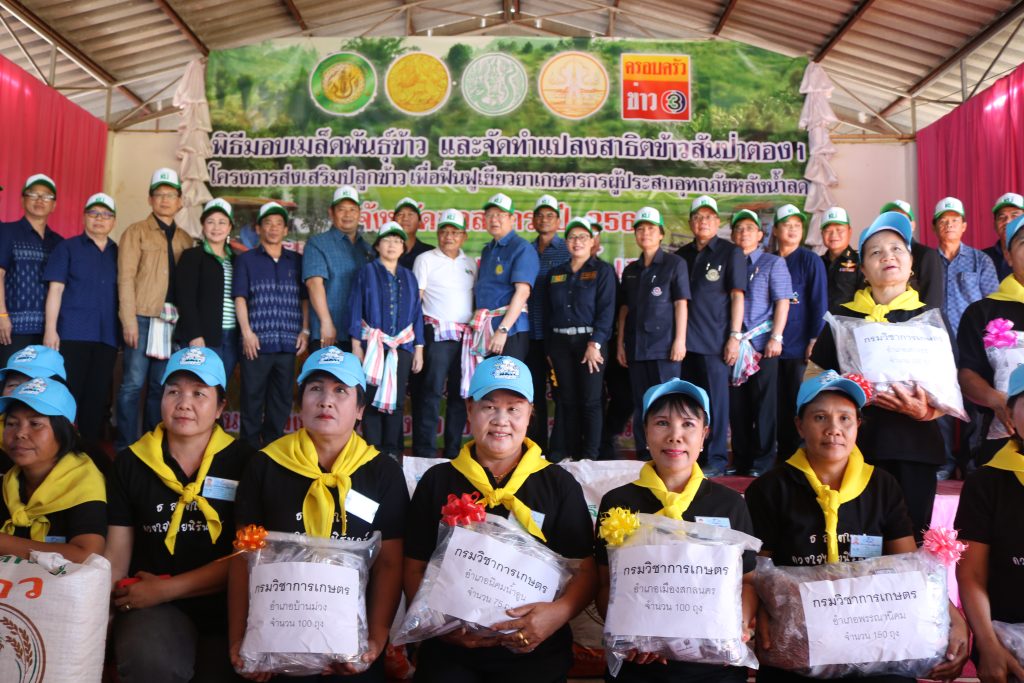 พันธุ์ข้าว