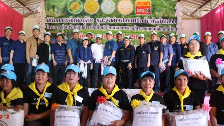 พันธุ์ข้าว
