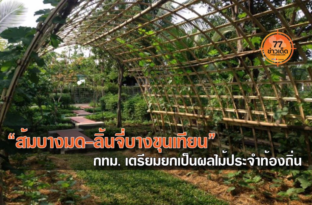 ส้มบางมด ลิ้นจี่บางขุนเทียน