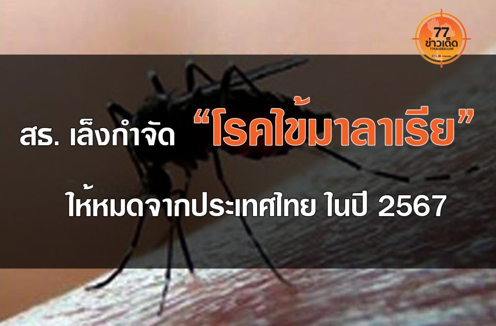 ไข้มาลาเรีย