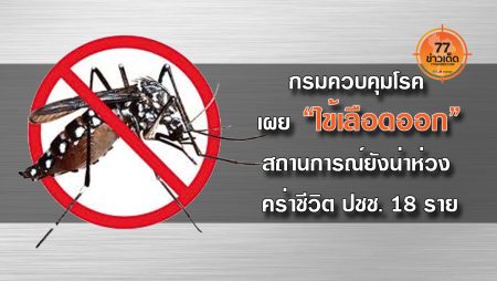 ไข้เลือดออก