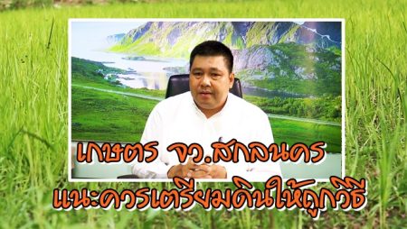 การไถดิน
