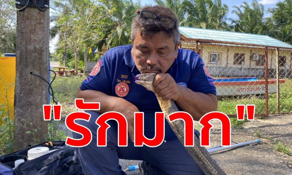 กู้ภัยวังวิเศษ,จับงูจงอาง,บรรเทาวังวิเศษ,จับอสรพิษ,