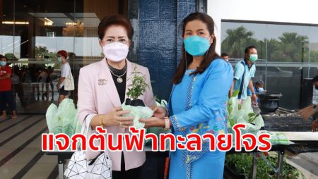 กศน.ตรัง, Quick Win, แจกฟ้าทะลายโจร, สู้ภัยโควิด-19,