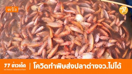 เลี้ยงปลาทับทิม,ปลาสองน้ำ.คลองหินขวาง,ขายปลาทับทิม,