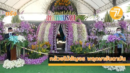 สหกรณ์กล้วยไม้ไทย, กล้วยไม้สัญจร, พฤกษาอันดามัน, ช่วยเหลือเกษตรกร,ปลูกกล้วยไม้,การแพร่ระบาดโควิด -19,