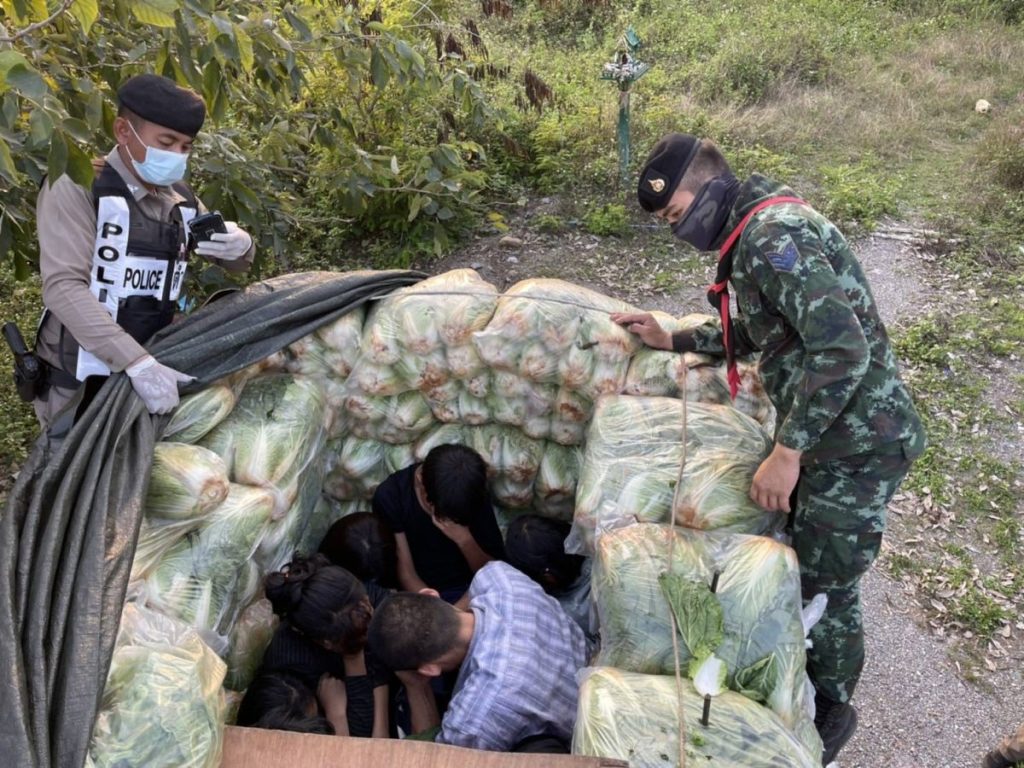 ซุกต่างด้าวในผักกาดขาว