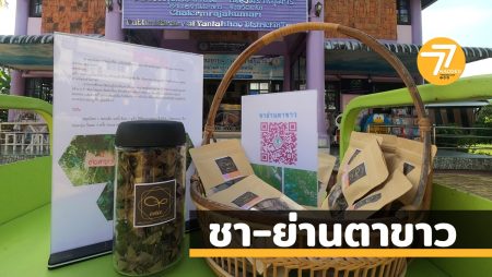 ชาย่านตาขาว,ต้นย่านตาขาว,อำเภอย่านตาขาว,