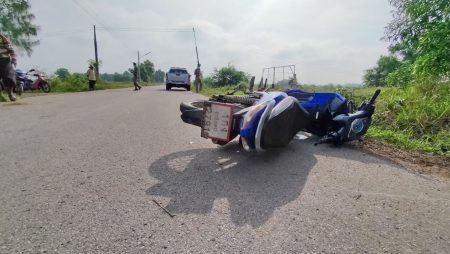 ชนกันกับวัว