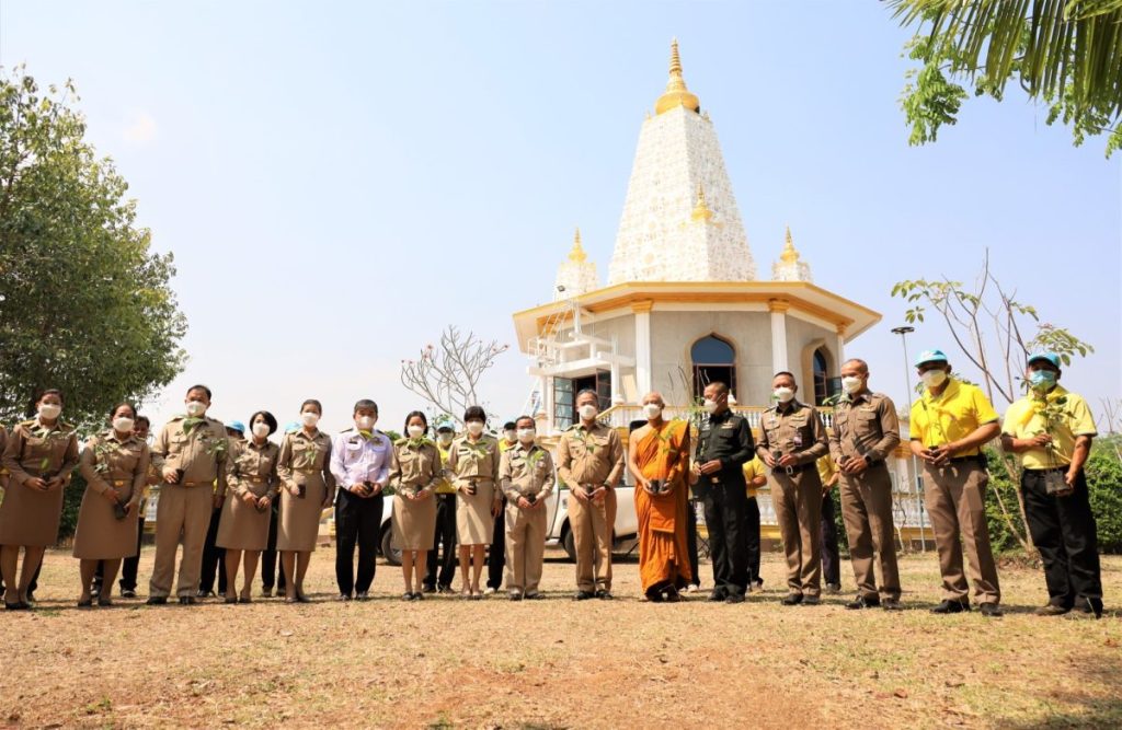 ต้นพระศรีมหาโพธิ์