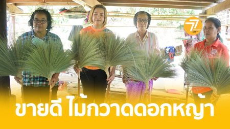ไม้กวาดดอกหญ้า,ตำบลละมอ. อบต.ละมอ,ดอกหญ้า,กลุ่มผู้สูงอายุ,อาชีพผู้สูงอายุ,