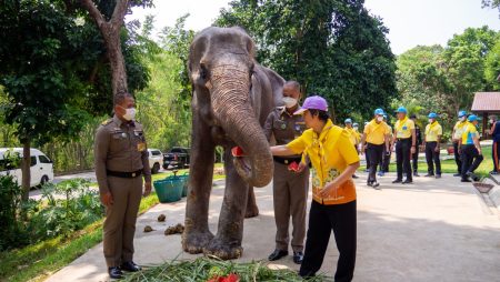 ช้างสำคัญ