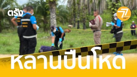 หลานชายสุดโหด,ยิงวังวิเศษ,หลานยิงหน้า,