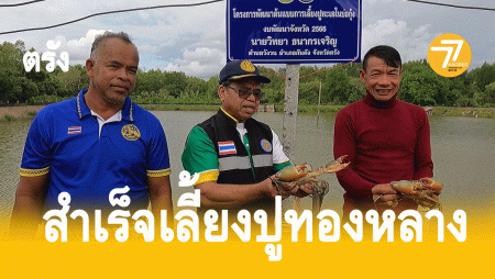 ปูทองหลาง,ปูหน้าขาว,เลี้ยงปู,บ่อกุ้งร้าง,
