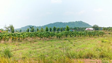 บ้านเขาจันทร์