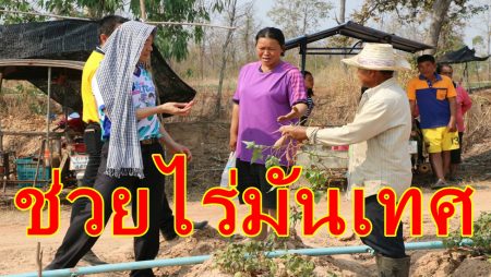 นายก อบจ.หนองบัวลำภู