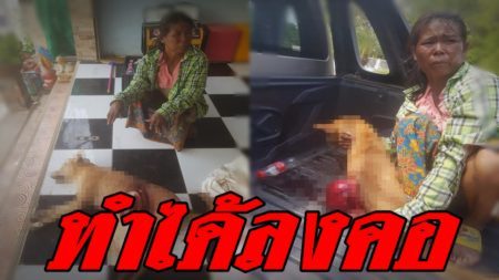 สุดยื้อชีวิตเจ้าต๊อก