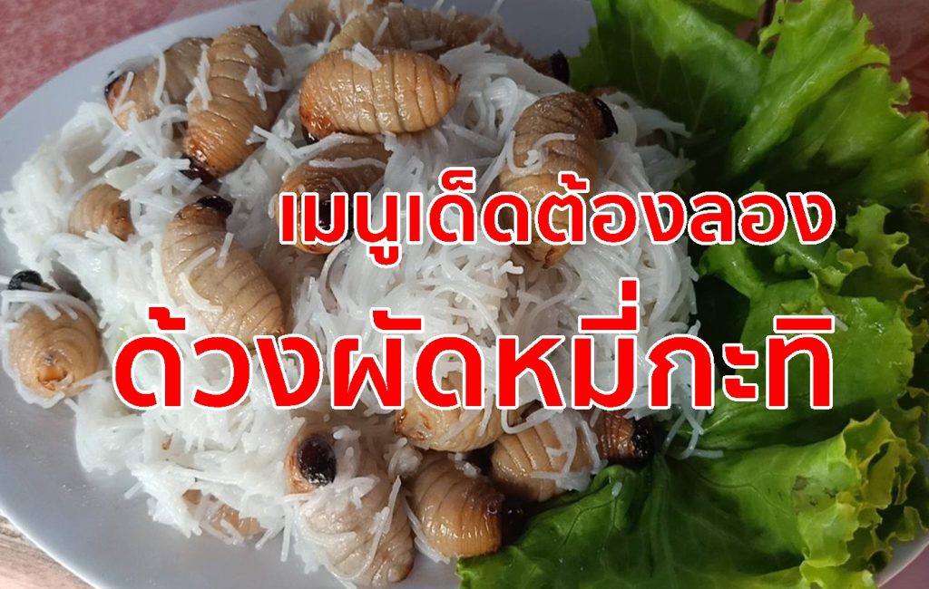 เมนูเด็ดต้องลอง, ด้วงสาคูผัดหมี่กะทิ, ด้วงสาคูสามรส, ด้วงสาคูคั่วเกลือ,ด้วง,