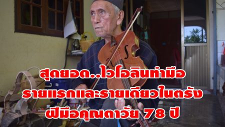 ไวโอลิน,เครื่องสาย,อาชีพผู้สูงบอายุ,เครื่องดนตรี, รองเง็ง,
