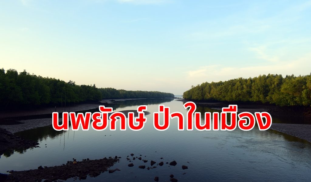 ป่าในเมือง,ระบบนิเวศน์,ป่าชายเลน,นพยักษ์,ท่องเที่ยวเชิงอนุรักษ์,บ้านท่าด่าน,