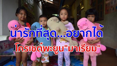 มาเรียมฟีเว่อร์, กลุ่มแม่บ้าน, ถักโครเชต์,พะยูนมาเรียม, อาชีพเสริม,