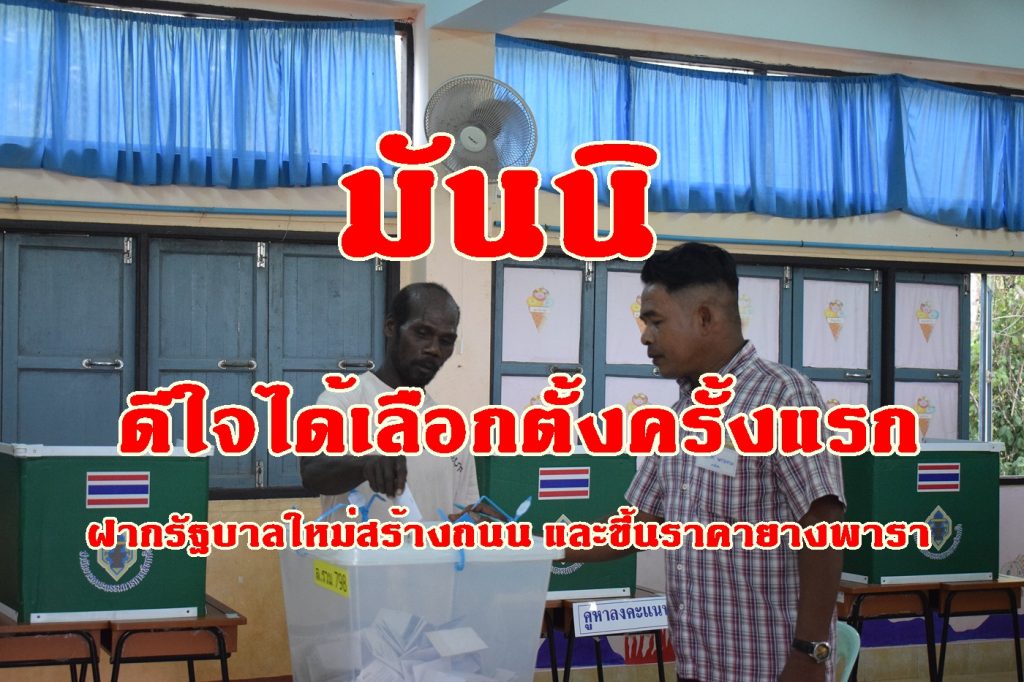 กลุ่มชาติพันธุ์, มันนิ,ลเลือกตั้งครั้งแรก, ราคายางพารา,ซาไกเลือกตั้ง, เสือกตั้ง 62 ตรัง,