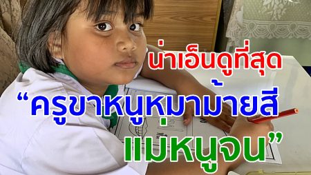 น่าเอ็นดู,ครูขาหนูหมาม้ายสี,โรงเรียนเทศบาลบ้านคลองภาษี,แม่หนูจน,เด็กป.1,