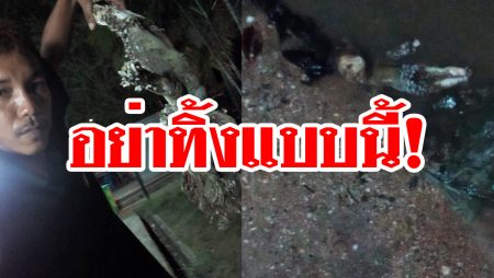 ตุ๊กตา