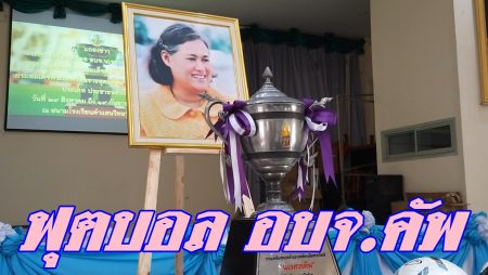 แถลงข่าว