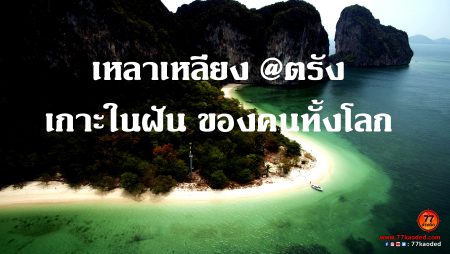 เกาะเหลาเหลียง,ดำน้ำดูปะการัง,One Day Trip,เกาะในฝัน, Trang wonderland travel,อุทยานแห่งชาติ,หมู่เกาะเภตรา,เที่ยวตรัง,