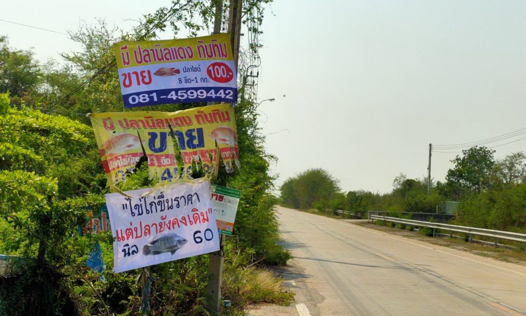ขึ้นป้าย ชวนกินปลา
