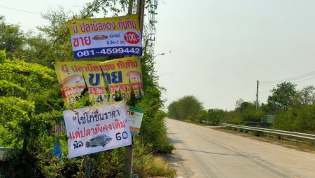 ขึ้นป้าย ชวนกินปลา