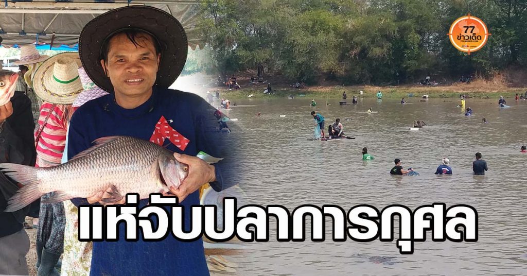จับปลา