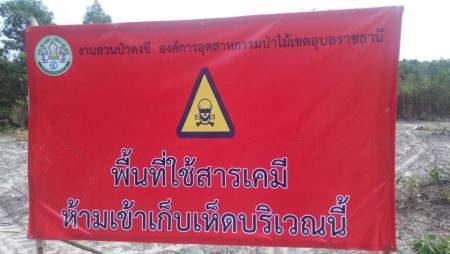ลุกป่า