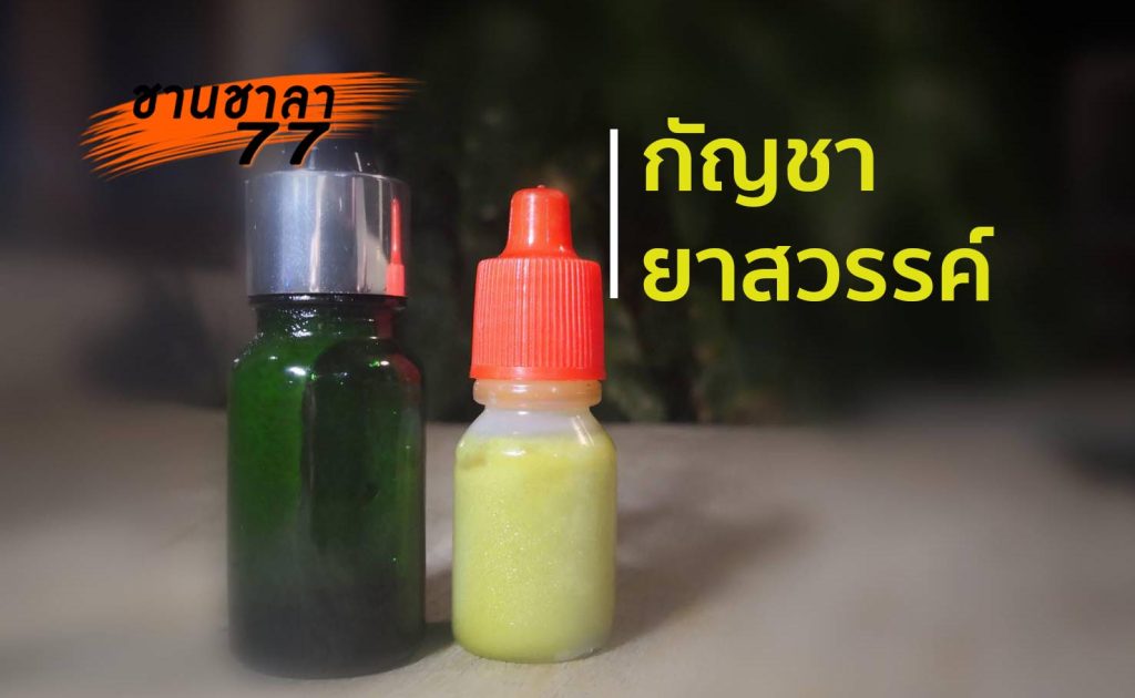 กัญชา